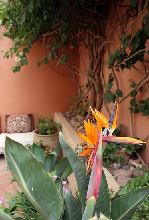 Tifawin Home And Garden Мирлефт Экстерьер фото